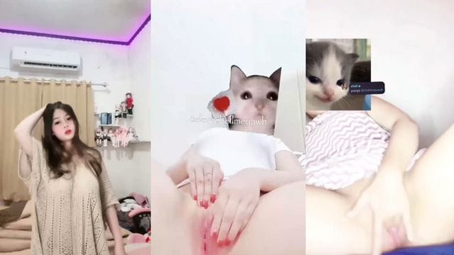 Bokep Indo Chellmey Colmek Meki Pinknya Bikin Ga Tahan