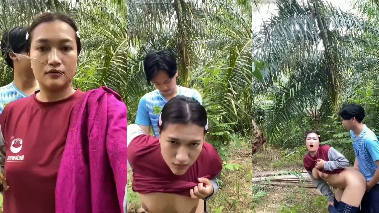 Bokep Indo Ngewe Sama Ibu Tiri Muda di Kebun Sawit