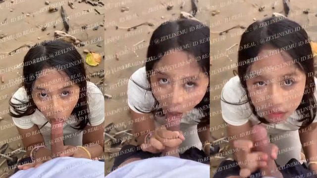 Bokep Indo Alter Zeylinemu Nyepong Kontol di Pantai